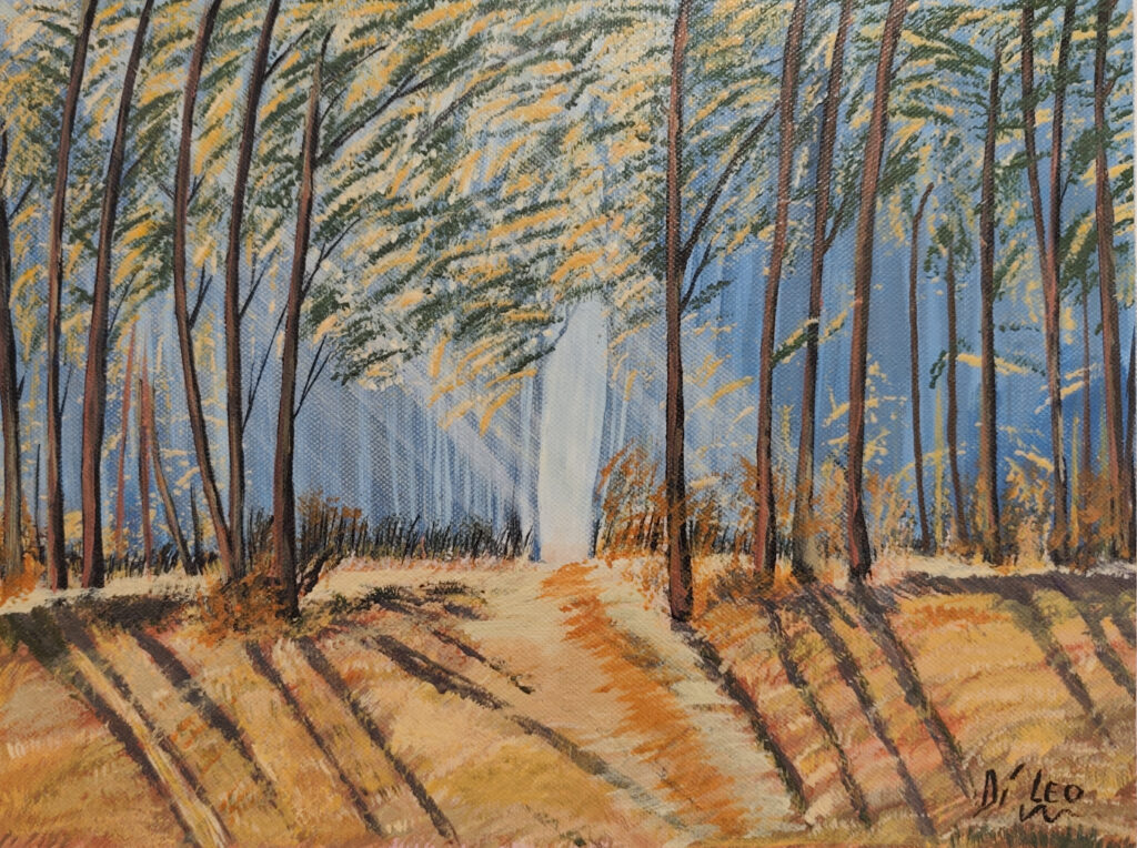 Bosco luminoso - Tela - 40x30 - (2023)