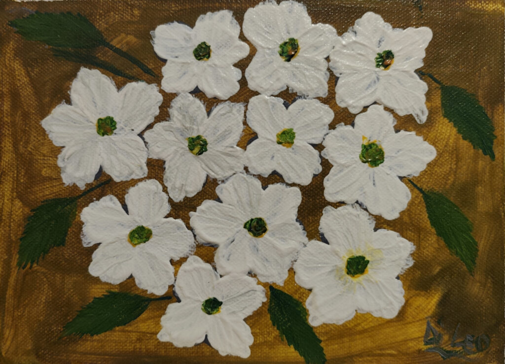 Fiori bianchi dall'alto - Tela - 24x18 - (2024)